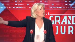 Marine Le Pen  Les migrants cest comme les éoliennes [upl. by Enylrac]