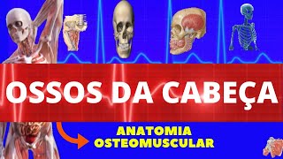 OSSOS DA FACE E OSSOS DO CRÂNIO ANATOMIA HUMANA  OSSOS DA CABEÇA  NEUROANATOMIA [upl. by Chancey]