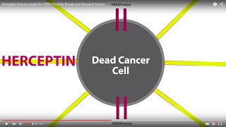 Herceptin trastuzumab for HER2Positive Breast and Stomach Cancer [upl. by Paradies]