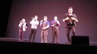 Voiceplay Performs the FULL quotChicken Songquot in MN 2014 [upl. by Nwahsear711]