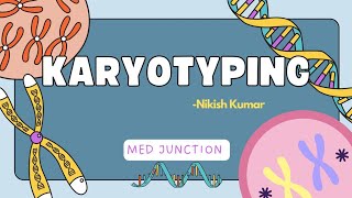 KARYOTYPING GENETICS1113 [upl. by Schonfield264]