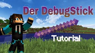 Minecraft DebugStick Tutorial [upl. by Yaresed80]