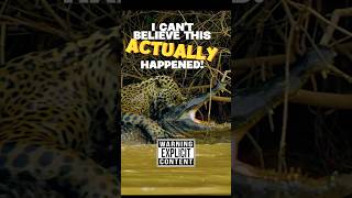 You wont BELIEVE this Jaguar Vs Crocodile Fight😲 [upl. by Kristofor299]