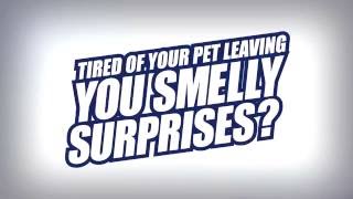 Tired of Your Pet Leaving you Smelly Surprises OdoBan in Canada [upl. by Launcelot]