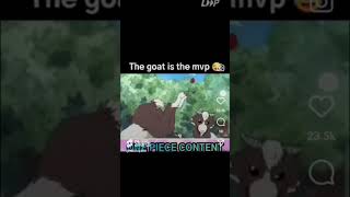 One Piece Funny Moments [upl. by Etolas]