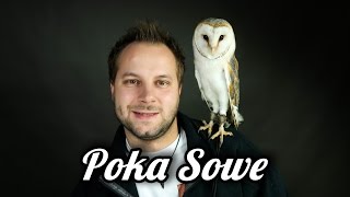 POKA SOWE  10 CIEKAWOSTEK O SOWIE [upl. by Endaira617]