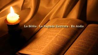 La Biblia Católica en audio 01 Evangelio según San Mateo Capítulos 1 2 y 3 [upl. by Annaliese204]