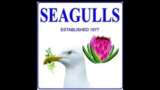 Seagulls vs Harlequins forces  07092024 [upl. by Epuladaug]