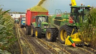 mais hakselen  Maishäckseln  Corn Harvest John deere 7450i [upl. by Teece]