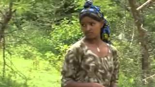 Asaffaa Tashoomaa Koyyabire Oromo Music [upl. by Dehlia]