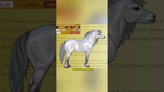 top 3 smallest horse breed short viral [upl. by Ardnua813]