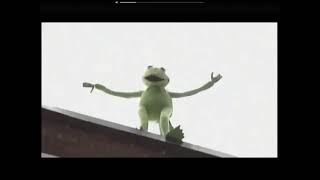 Kermit commits suicide [upl. by Sikko]