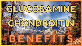 Benefits of Glucosamine amp Chondroitin [upl. by Aruon618]