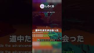 【世界記録】24秒でマイクラをクリア？！【マイクラ豆知識 解説 裏技】 [upl. by Krever51]