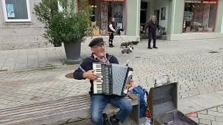 A street accordion player in a small town in Bavaria Mindelheim Germany3 [upl. by Lhamaj]