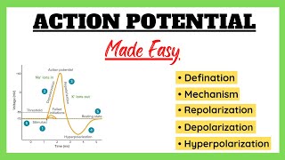 Action Potential Depolarization Repolarization Refractory Period Physiology Made Easy [upl. by Ian]