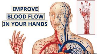 Increase Blood Flow With The Redwood Nitric Oxide Supplement [upl. by Eylk]