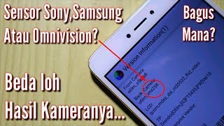 Sensor Kamera Sony VS Sensor Samsung Bagus mana [upl. by Babbette]