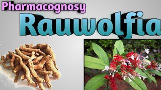 Pharmacognosy of Rauwolfia [upl. by Greeson]