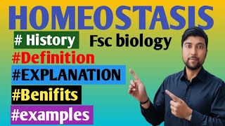 Homeostasis  Homeostasis physiology  Homeostasis and negativ positive feedback Biologylectures177 [upl. by Bonne814]