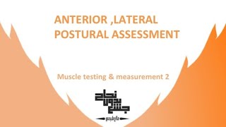 Anterior amp lateral postural assessment  muscle test 2  Lec 9 [upl. by Varick]