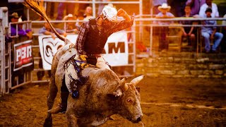 ll The Search ll Bull riding Edit ll [upl. by Stead]