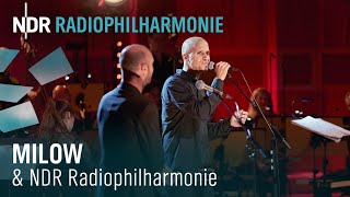 Milow amp NDR Radiophilharmonie mit Frank Strobel  Freistil [upl. by Darby570]