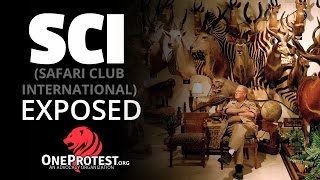 Safari Club International  Killers of Conservation [upl. by Anrehs]