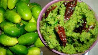 How to Make Pachi Dondakaya Pachadi Recipe in Telugu [upl. by Aranaj]