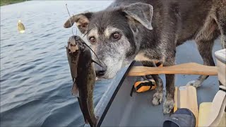 Fishing Whitson lake Ontario Canada [upl. by Bendix]