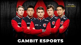 Team Profile – Gambit Esports  StarLadder ImbaTV Dota 2 Minor Season 3 [upl. by Sillig]