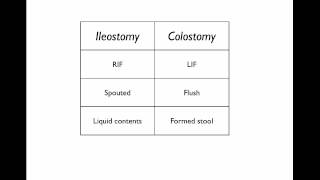 Stomas What they are and how to tell them apart [upl. by Bodnar]