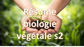 résumé biologie végétale S2 PARTIE 1 أحسن شرح [upl. by Schwarz121]