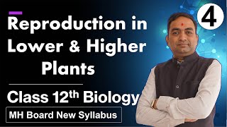 Reproduction in Lower and Higher Plants Class 12th Biology Part 4 [upl. by Luna]