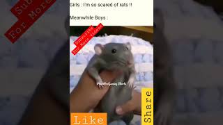 chuha dance shorts rat dance funny whatsappstatus cute mouse share sub trending animal [upl. by Ipoillak720]