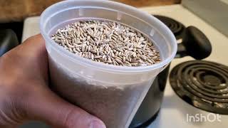 How to make grain spawn using the instant pot [upl. by Giacopo]