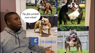 Top five American bully pockets New school [upl. by Lobell]