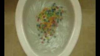 Cheerios in a US toilet [upl. by Castera]