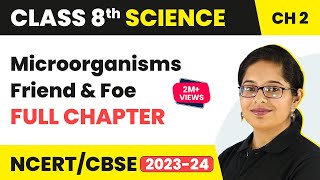 Microorganisms  Friend and Foe Full Chapter Class 8 Science  NCERT Science Class 8 Chapter 2 [upl. by Lletram]