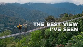 Hiking Through the Nyungwe National Park in Rwanda [upl. by Eraste237]