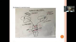 Clinical approach to diplopia [upl. by Asirrak486]