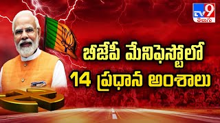 బీజేపీ మేనిఫెస్టోలో 14 ప్రధాన అంశాలు  BJP Manifesto 2024 Highlights  PM Modi  TV9 [upl. by Atinnor]