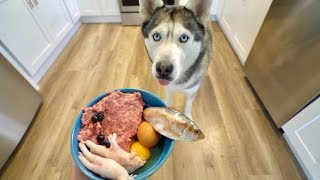 What Feeding Raw Breakfast Every Morning Looks Like With My Husky [upl. by Fitz]