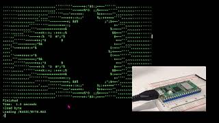 Hopper Shell running on Raspberry Pi Pico [upl. by Ecnarwal]