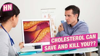 Whats the Difference Between HDL and LDL Cholesterol cholesterol [upl. by Anivad]