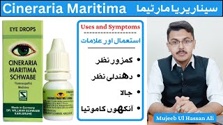 Cineraria Maritima Schwabe eye drops benefits in Hindi  Cineraria Maritima Eye Drops [upl. by Lesley559]