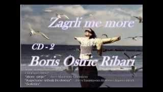 Boris Oštrić  Rbari CD 2 Zagrli me more [upl. by Eikkin]