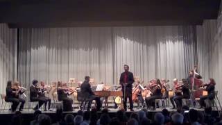 Telemann  Viola Concerto in G Major  Gregor Bugar [upl. by Fremont]