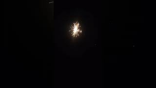 Happy Diwali 🎇🪔diwali diwali2024 trendingshorts viralshort utubeshort [upl. by Domash]