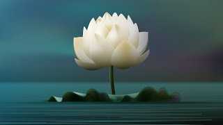 Buddha Instrumental Music BEST Collection ⭐ Buddhism Crystals Music Playlist Buddhist Songs BGM [upl. by Urania]